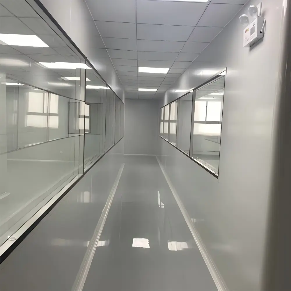 Cleanroom Observation Window